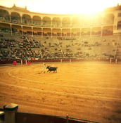 Image of Matador