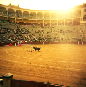 Image of Matador