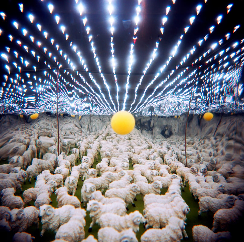 Arian Camilleri • Fine Art — Sheep Rave