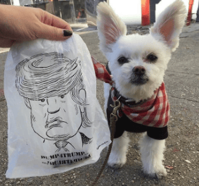 Image of Limited Edition Donald Trump Poop Bags