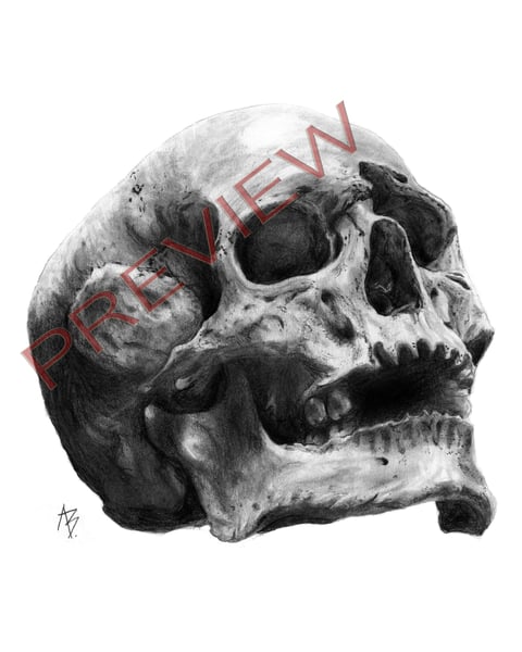 Image of Skull