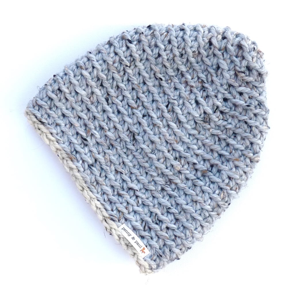 The Pioneer Image of The Pioneer