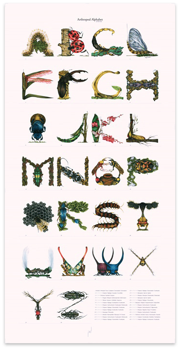 Image of Arthropod Alphabet Print
