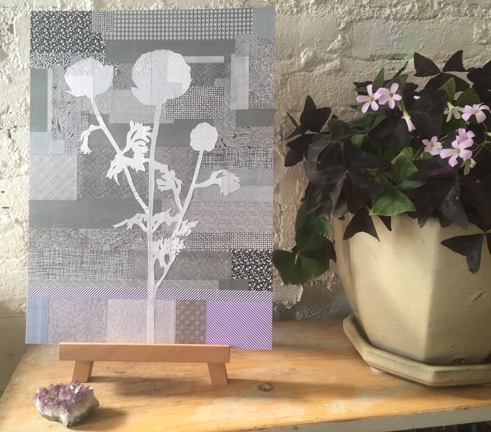 Image of Silk Lobby Ranunculus #02