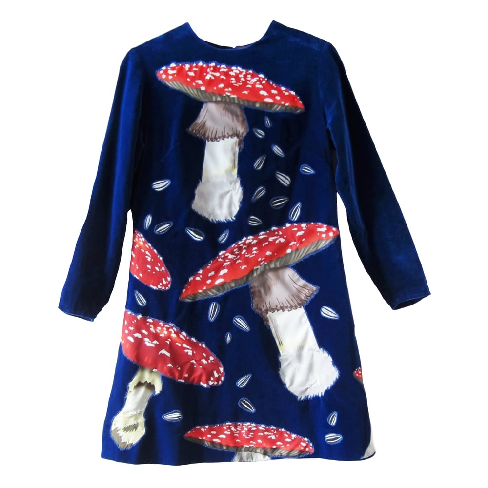 Image of Amanita Embroidered Dress