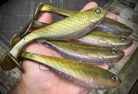 Image 1 of 5" G5 Hand Poured Swimbaits - "ATOMIC SHAD”