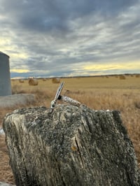 Image 3 of The Golden Trout