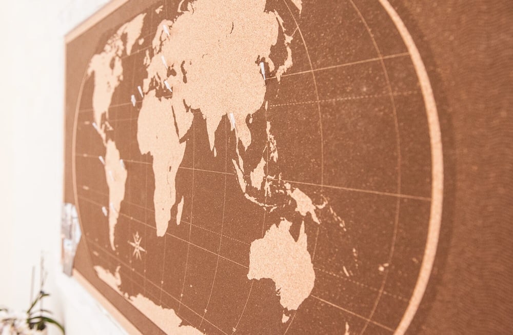 Image of Shipwrecked Brown World Map