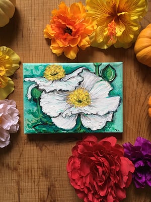 Image of Fried Egg Poppy 