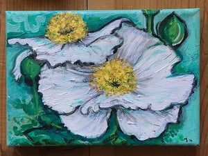 Image of Fried Egg Poppy 
