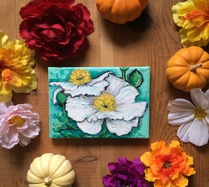 Image of Fried Egg Poppy 