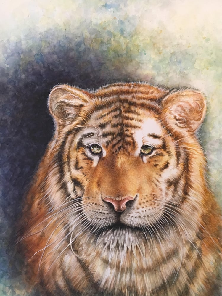 Image of "His Emerald Stare" Watercolor Tiger - Unlimited 18x24 Print