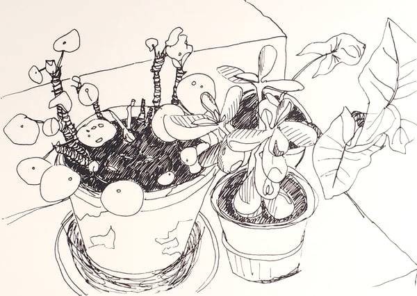 Image of Pot plants screen print