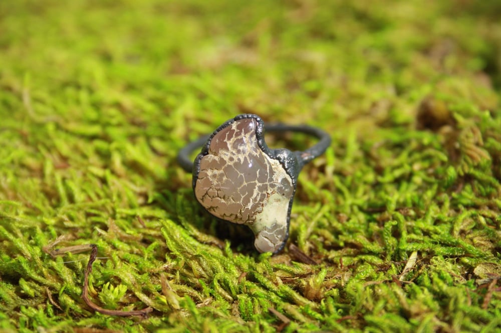 Image of Snakeskin Agate Ring - Size 11