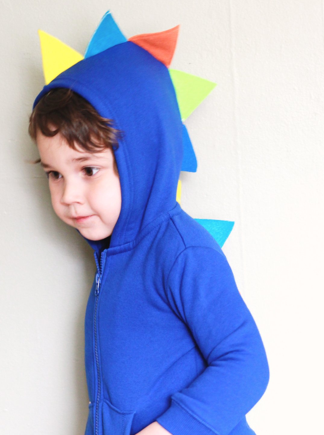 boys royal blue sweatshirt