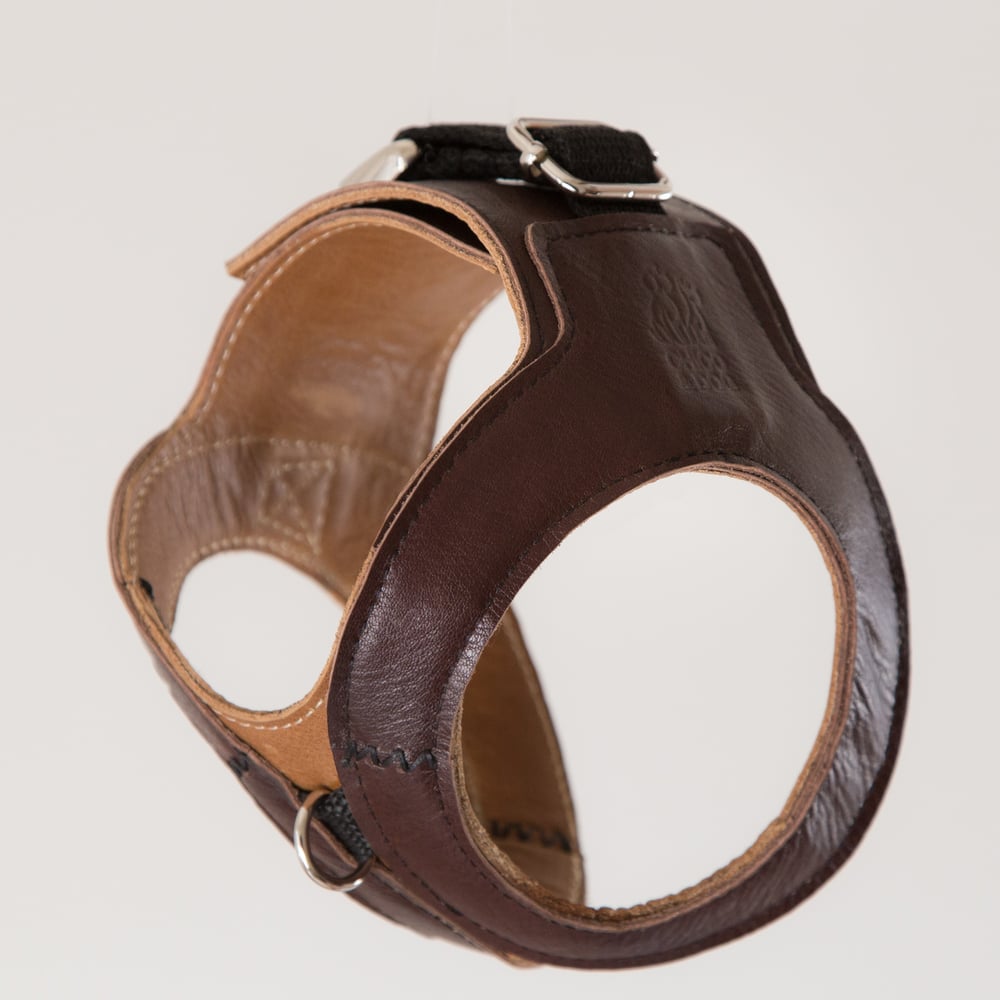 Image of Hemmingway Harness - Chocolate on Tan