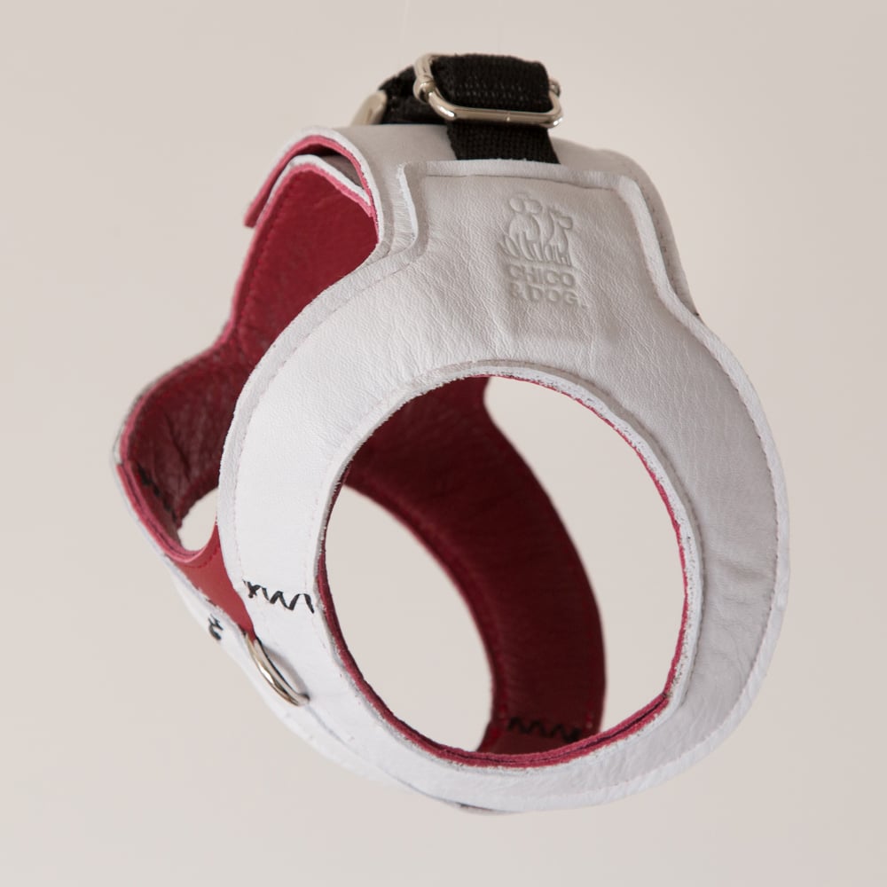 Image of Hemmingway Harness - White on Wine