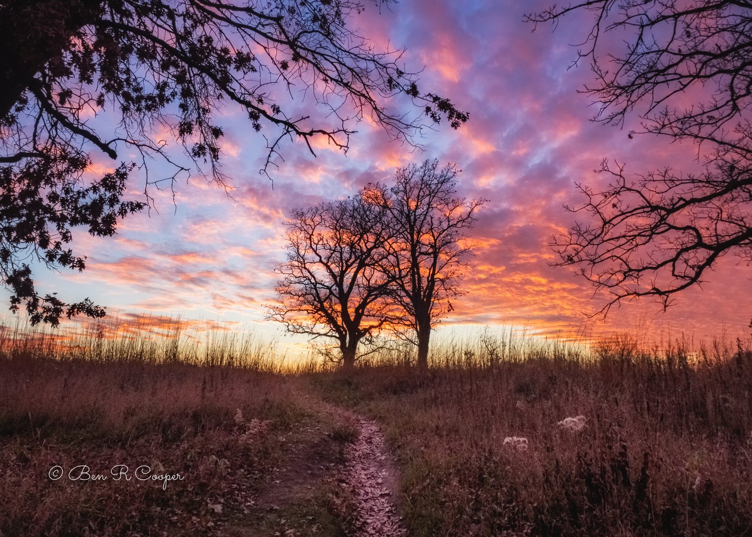 Rice Creek Sunset