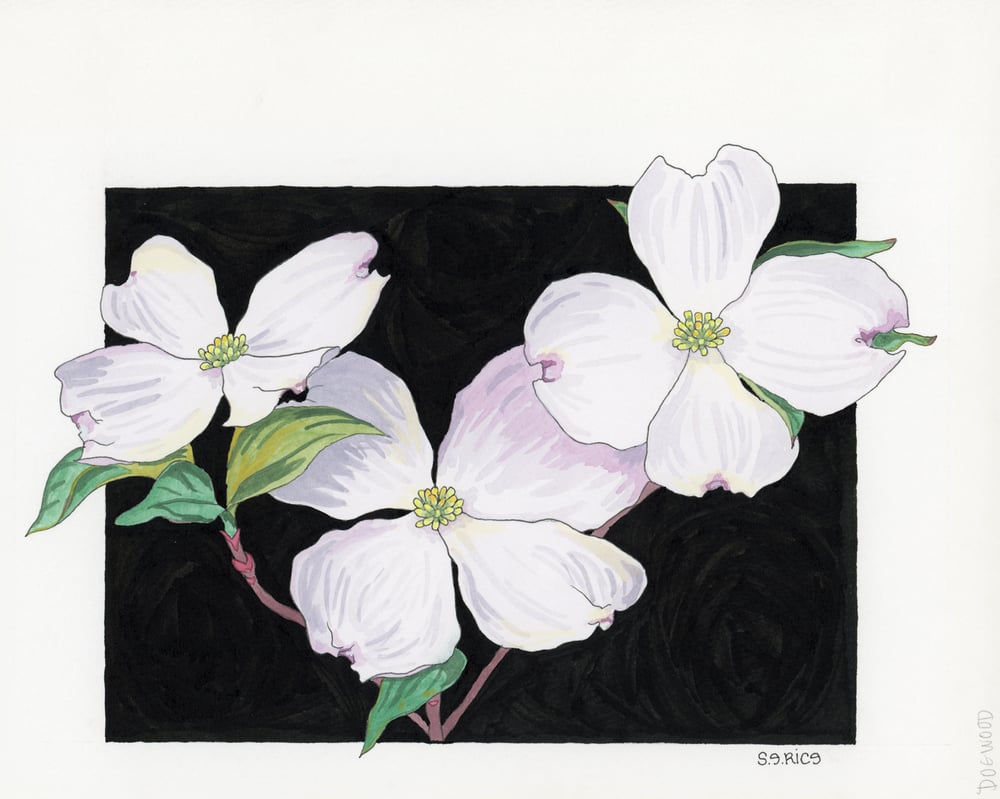 Image of Dogwood