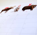 Image of Animal Calendar 