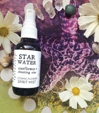 Star Water {starflower + shooting star} spirit mist