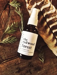 The Redwood Forest {tree essence mist}