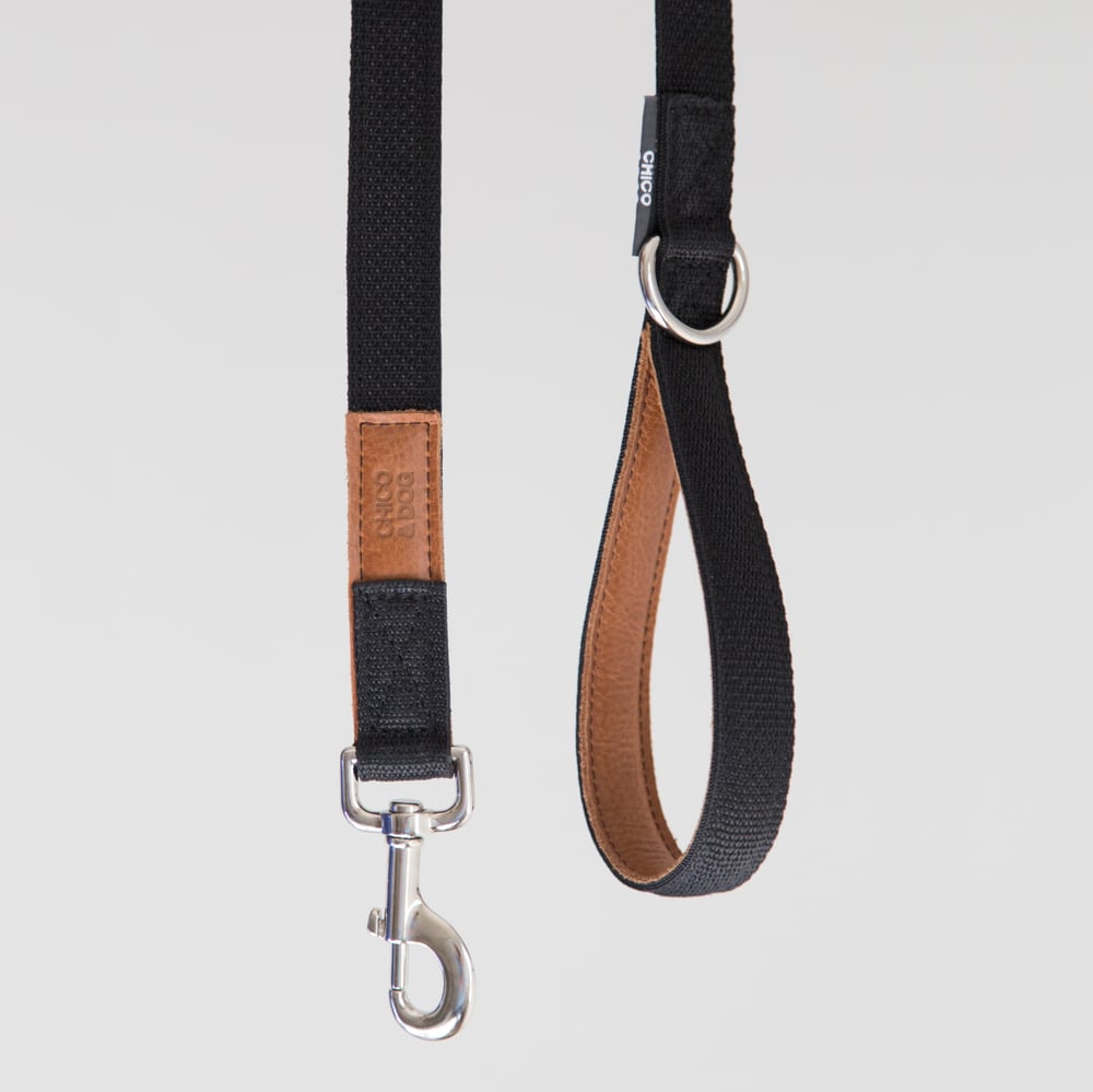 Image of Hemmingway Leash