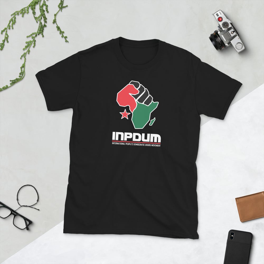 Image of InPDUM classic logo- black