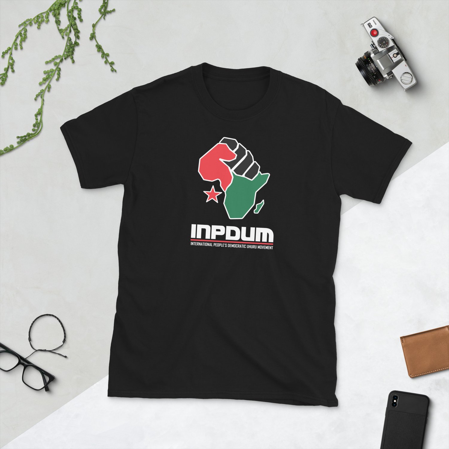 Image of InPDUM classic logo- black