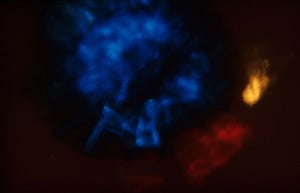 Image of Red, Gold & Blue