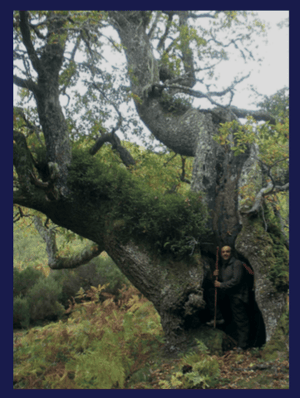 Image of Somiedo. Entre Osos, Brañas y Pastores.