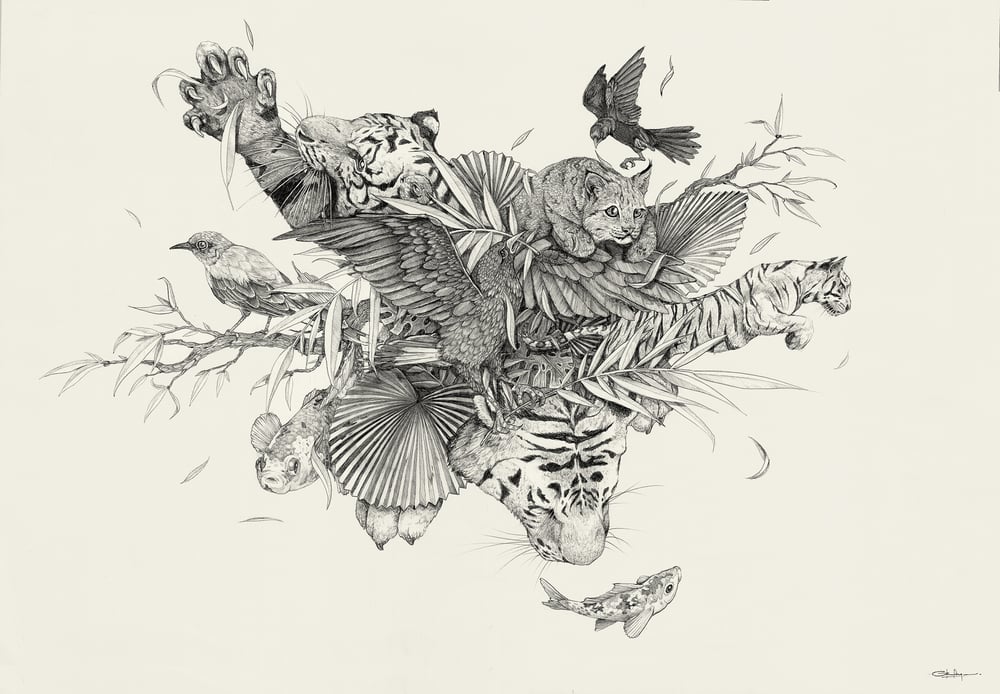 Image of Jungle Jump