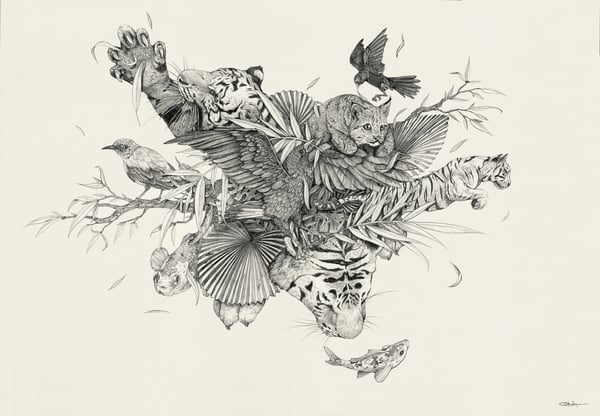 Image of Jungle Jump