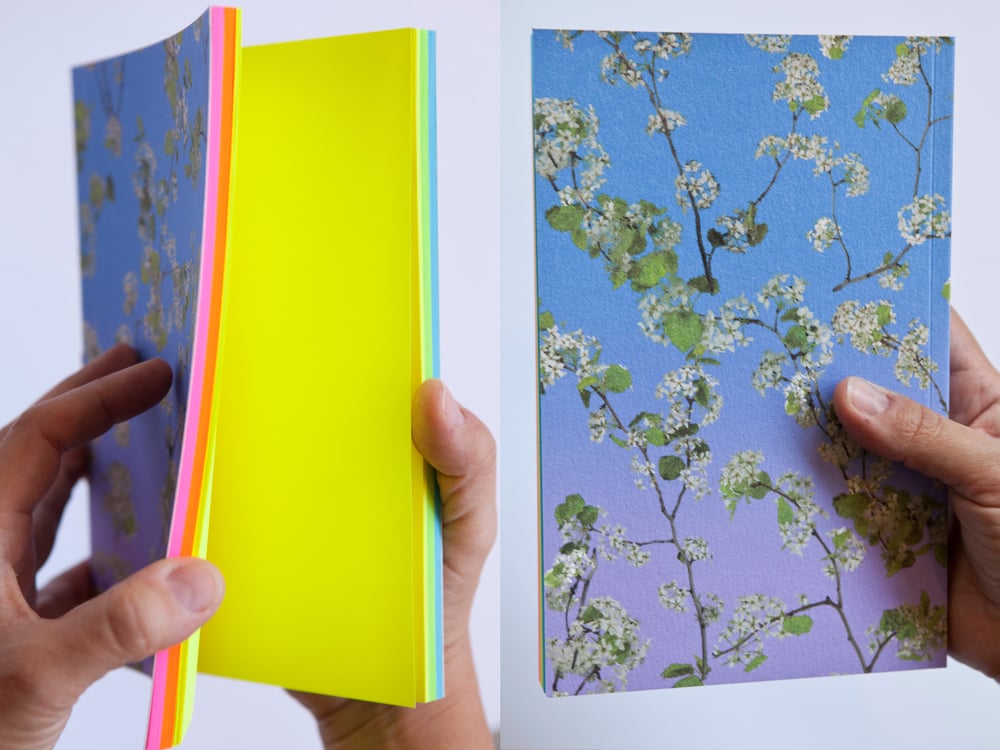 Image of Pear Blossom (with rainbow paper) Notebook 
