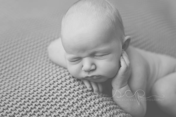 Image of Full Newborn Session