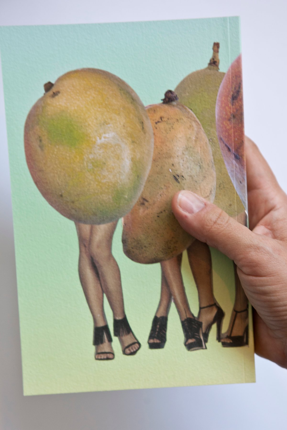 Image of Estas Como Mango Notebook