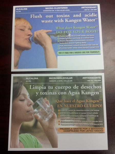 Image of (300) Bilingual double-sided flyers