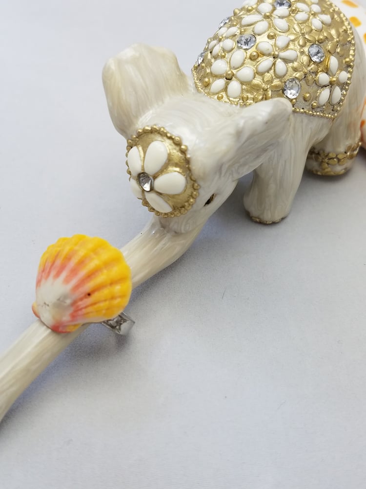 Image of Sunrise shell ring