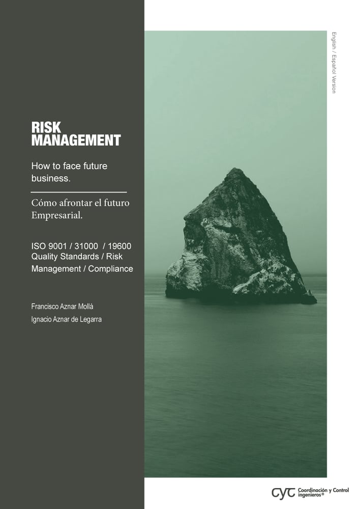 Image of Risk Management How to face Future Business