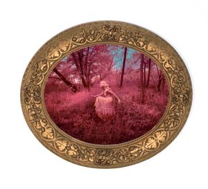 Image of She Steps Softly  - by Larry Endicott