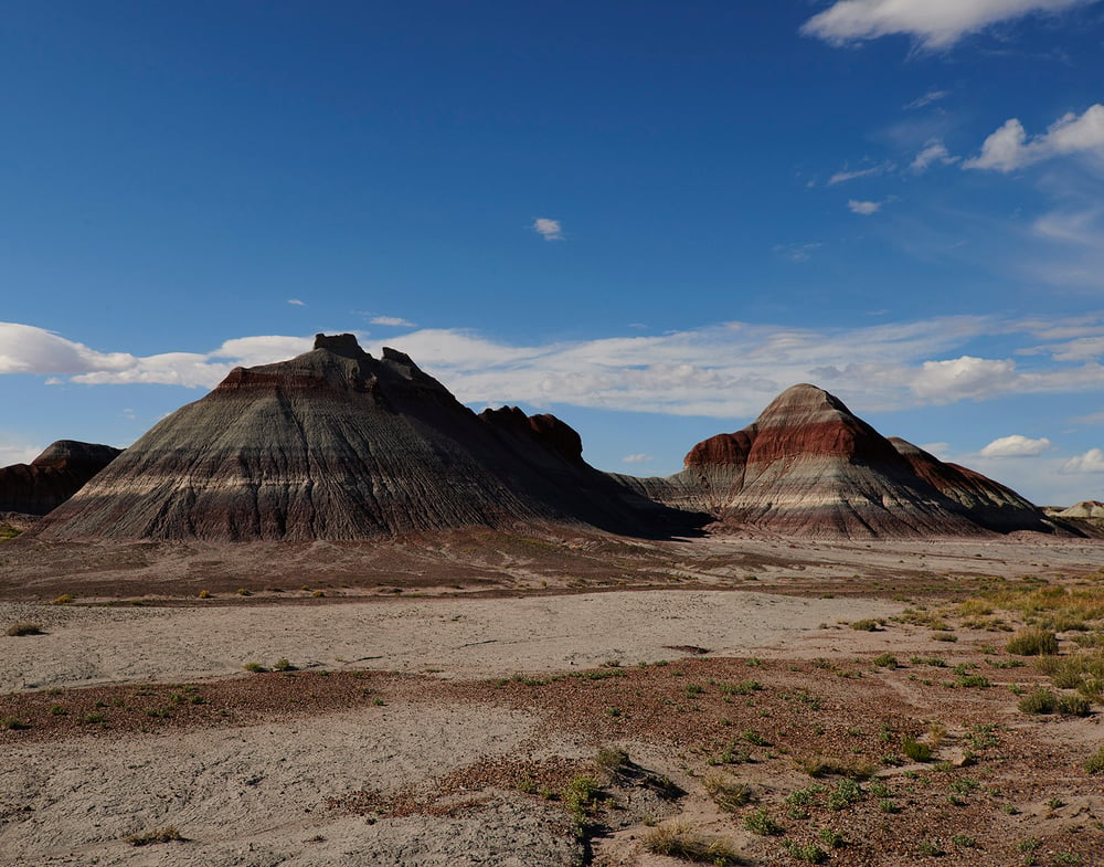 Image of Petrified Forest