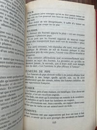 Image 5 of Le dictionnaire des présages et des superstitions, par Phillipa Waring, 1993.