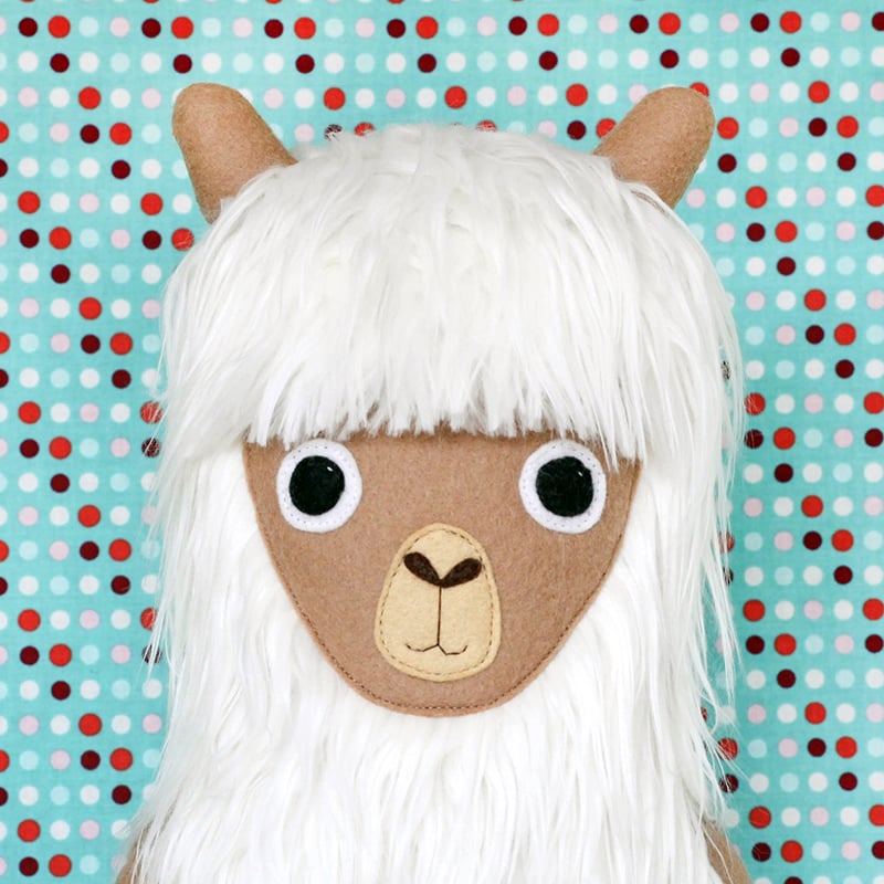 Image of Alice the Alpaca