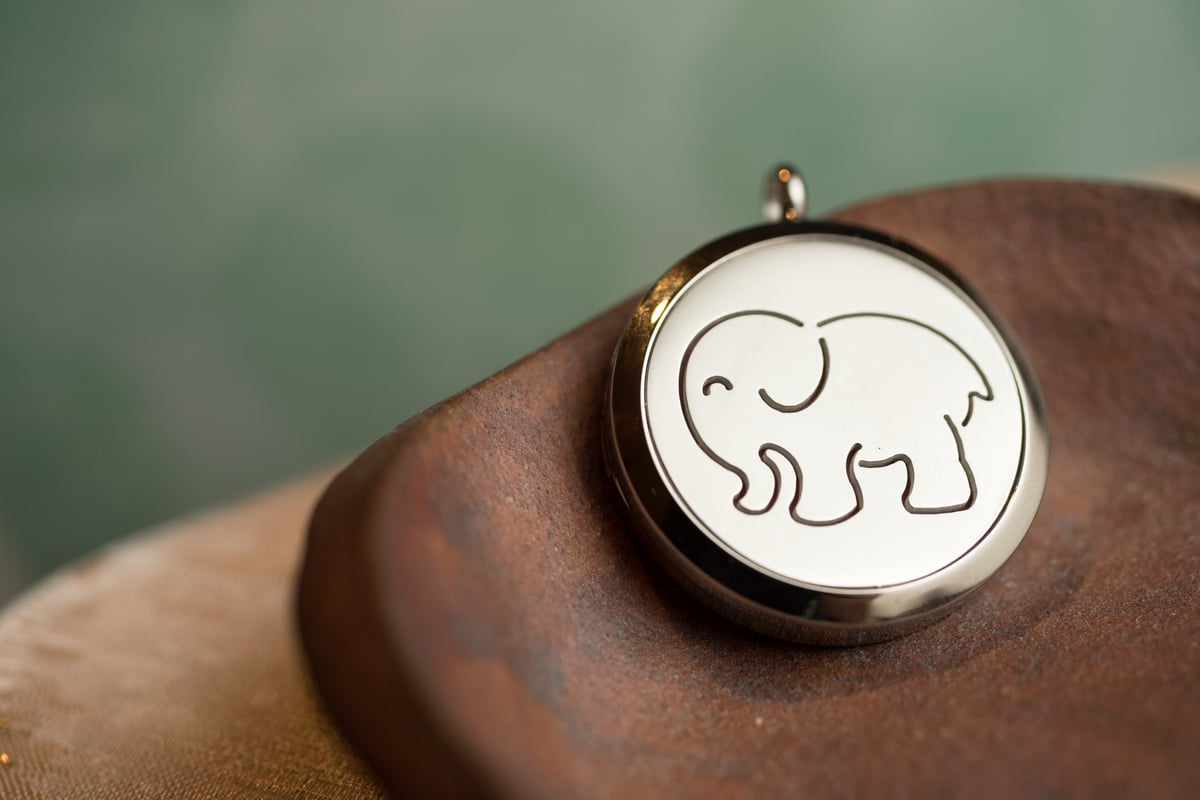 Image of Animal Essential Oil Diffuser Necklace