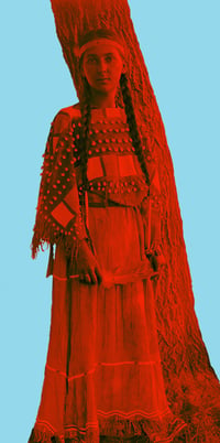 Image 1 of Fallen Fruit -  Sioux Woman 