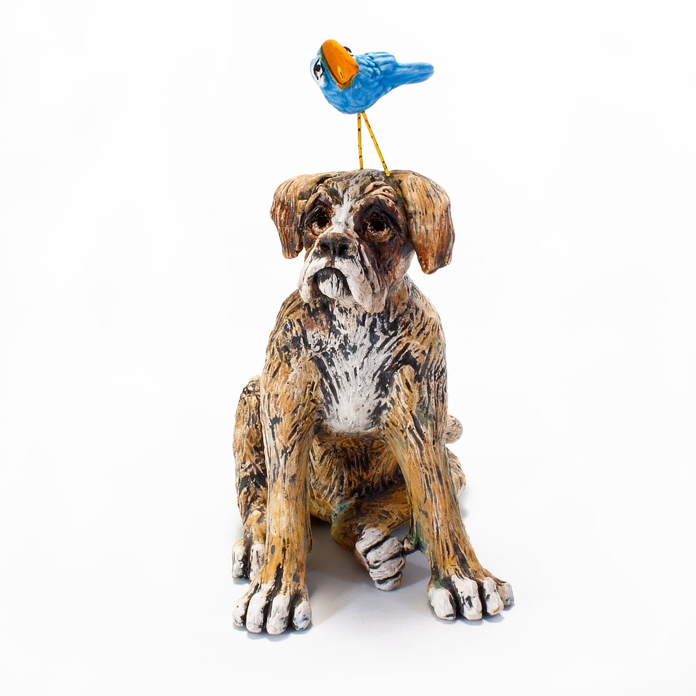 Image of Boxer Dog and Toucan Bird