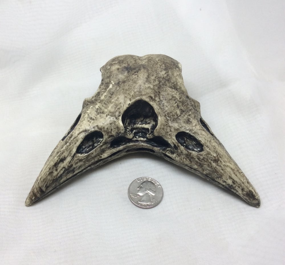 "Conjoined Crow Skull" Hand Painted Resin Frame Corners- Aged Bone