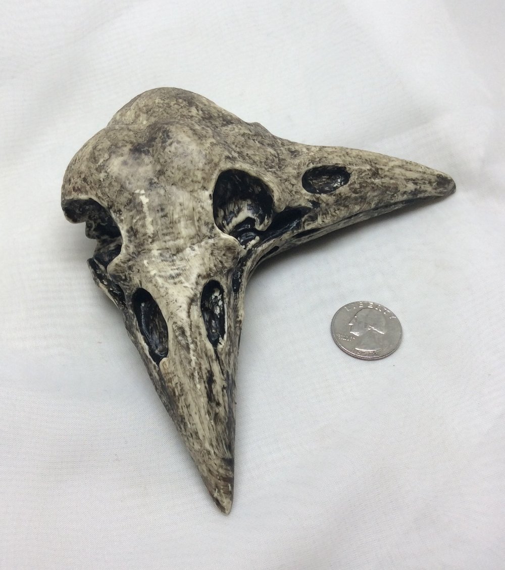"Conjoined Crow Skull" Hand Painted Resin Frame Corners- Aged Bone