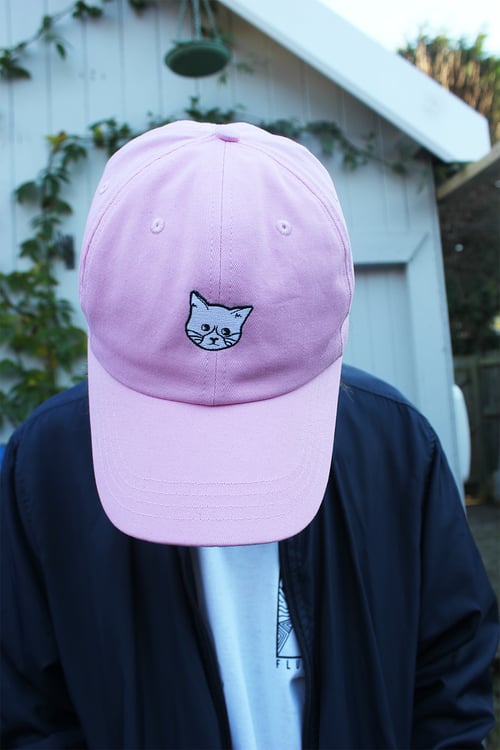 Image of FLUX CAT Hat - Pink 