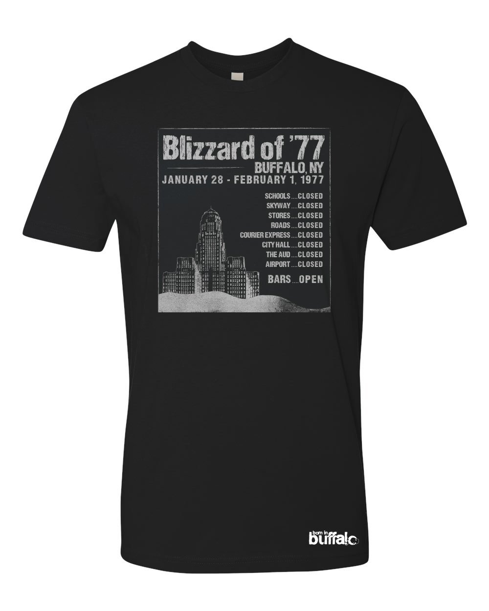 Image of Blizzard of '77